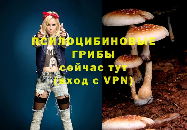 spice Куйбышев