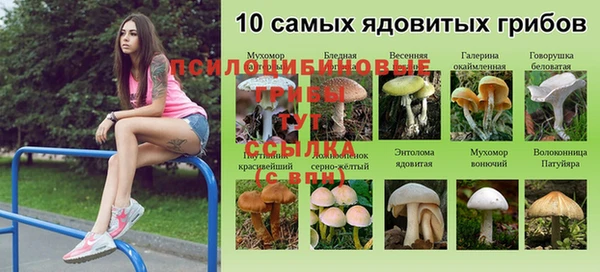 spice Куйбышев